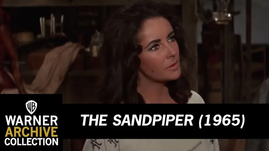 Watch film The Sandpiper — Clean, Content and Without Guilt