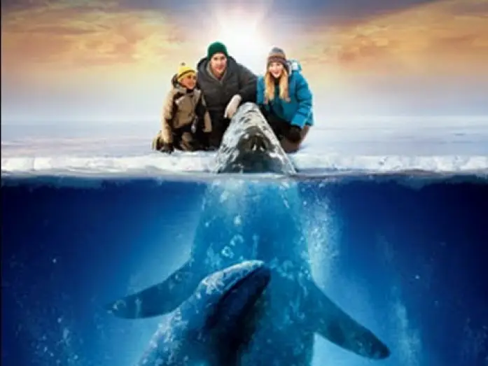 Watch film Big Miracle — DER RUF DER WALE | Trailer [HD]