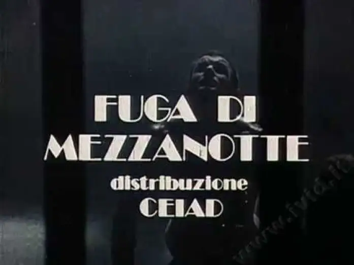 Watch film Midnight Express | FUGA DI MEZZANOTTE (1978) Trailer Italiano
