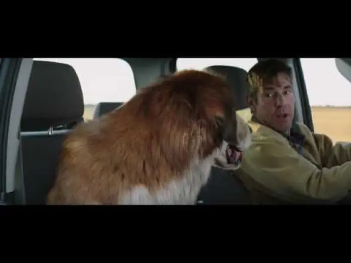 Watch film A Dog's Purpose | MES VIES DE CHIENS - Extrait - "Deux vieux copains" - VF