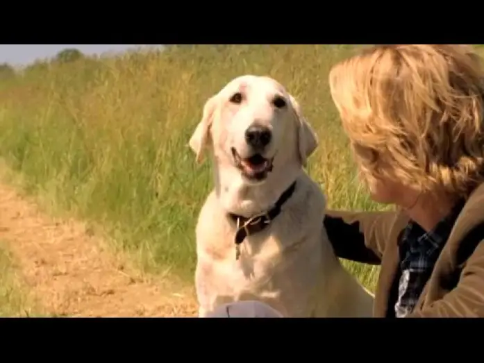 Watch film Marley & Me | Marley & Ich - Trailer