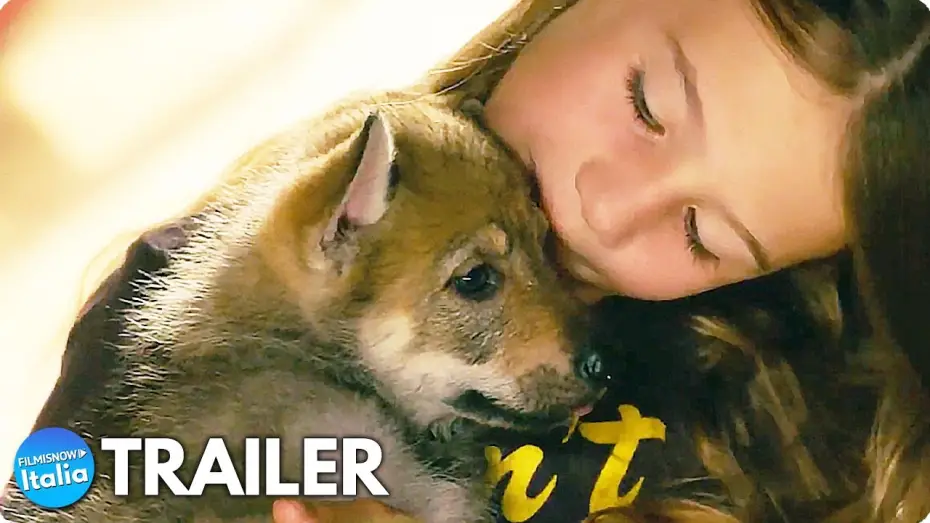 Watch film Vicky and Her Mystery — VICKY E IL SUO CUCCIOLO (2022) Trailer ITA del Film sull'Amiciza con un Lupo