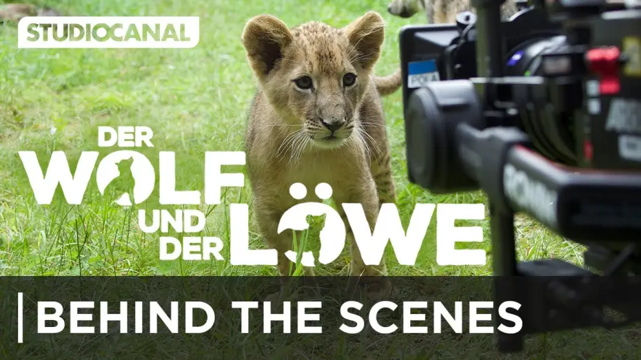 Watch film The Wolf and the Lion — Hinter den Kulissen