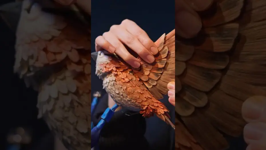 Watch film Wildwood — Behind-the-Scenes: Avian Principality Reveal