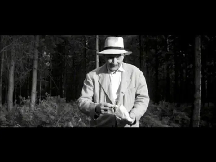 Watch film Never Take Sweets from a Stranger — Brian Trenchard-Smith on NEVER TAKE CANDY FROM A STRANGER