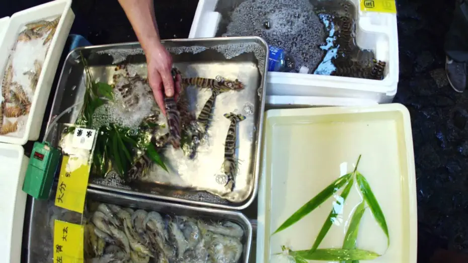 Watch film Jiro Dreams of Sushi — Film Clip