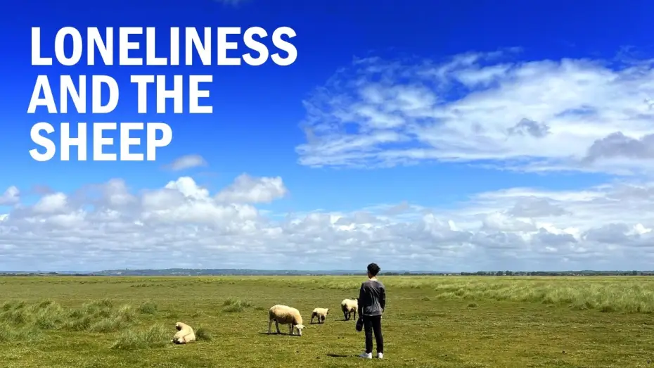 Watch film Loneliness and the Sheep — Loneliness and the Sheep | Short Film