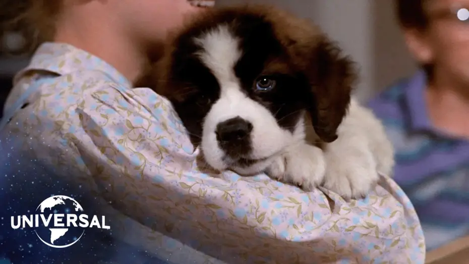 Watch film Beethoven | The St. Bernard&rsquo;s Journey Home