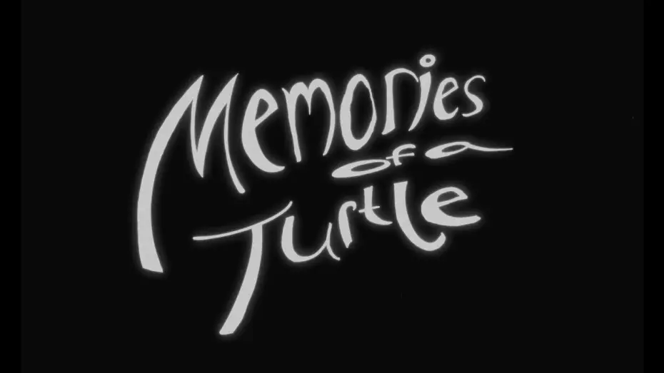 Watch film Memories of a Turtle — MEMORIES OF A TURTLE  |  Teaser Trailer