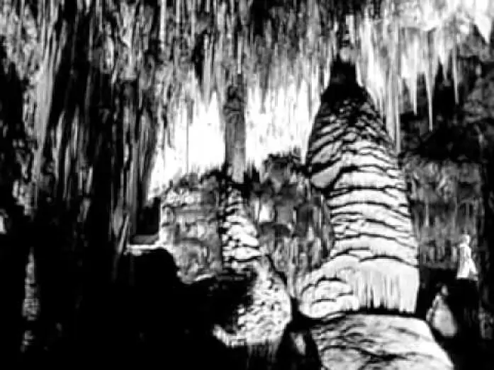 Watch film Earth vs. the Spider | Die Rache der schwarzen Spinne - 1958