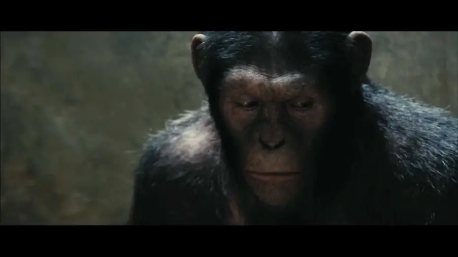 Watch film Rise of the Planet of the Apes — Bande-annonce 1 VOST