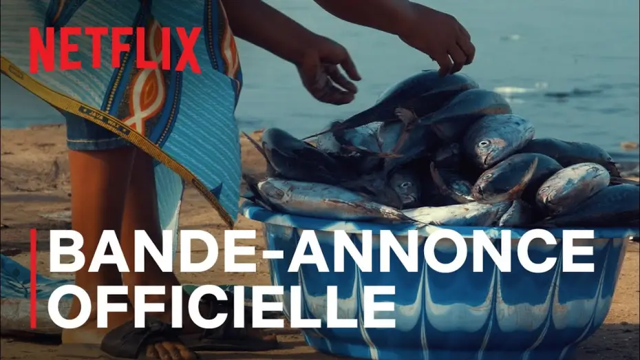 Watch film Seaspiracy — Seaspiracy : La pêche en question - Bande Annonce [VOST]