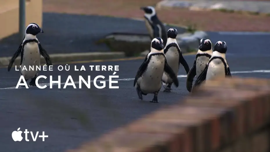 Watch film The Year Earth Changed — Bande-annonce officielle [VOSTFR]