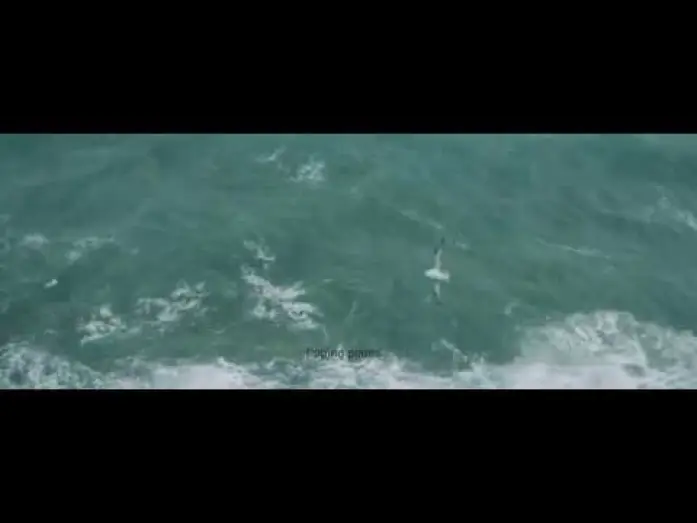 Watch film Apausalypse | Apausalypse - Trailer
