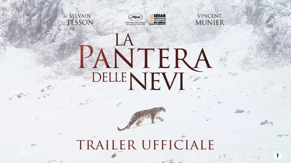 Watch film The Velvet Queen — La Pantera delle Nevi - dal 20 ottobre al cinema | Trailer ITA