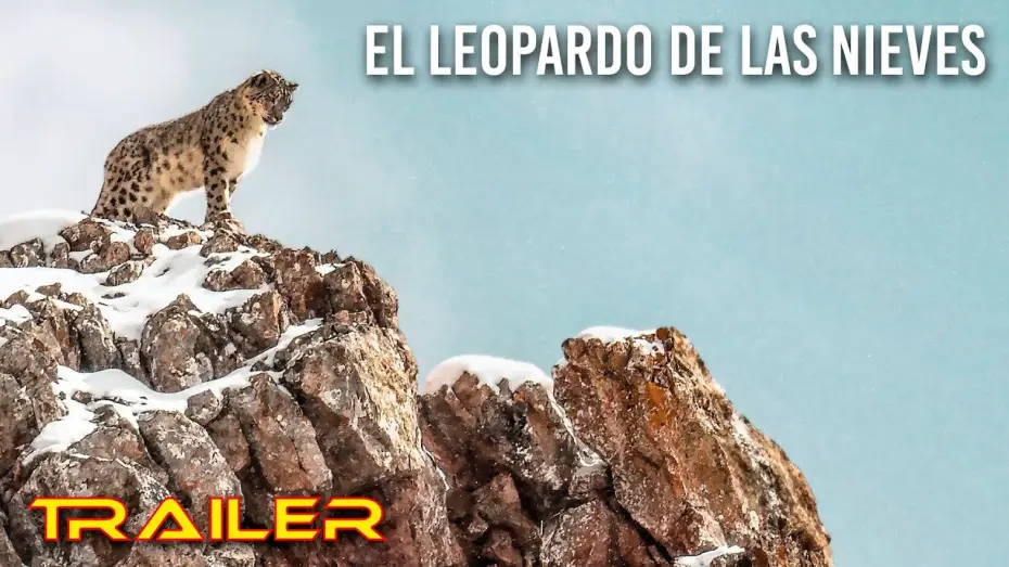 Watch film The Velvet Queen — El leopardo de las nieves - Tráiler español