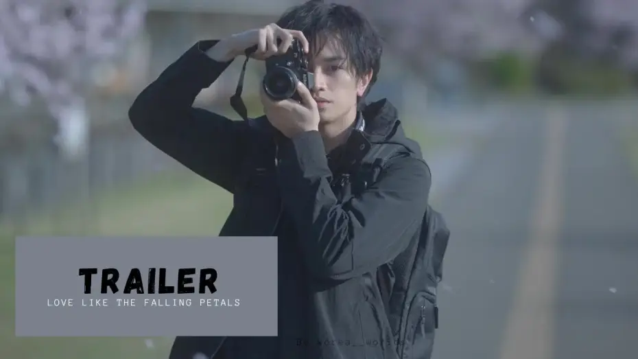 Watch film Love Like the Falling Petals — [VOSTFR] | Love Like the Falling Petals - TRAILER | Japonais Drama| Nakajima Kento, Matsumoto Honoka