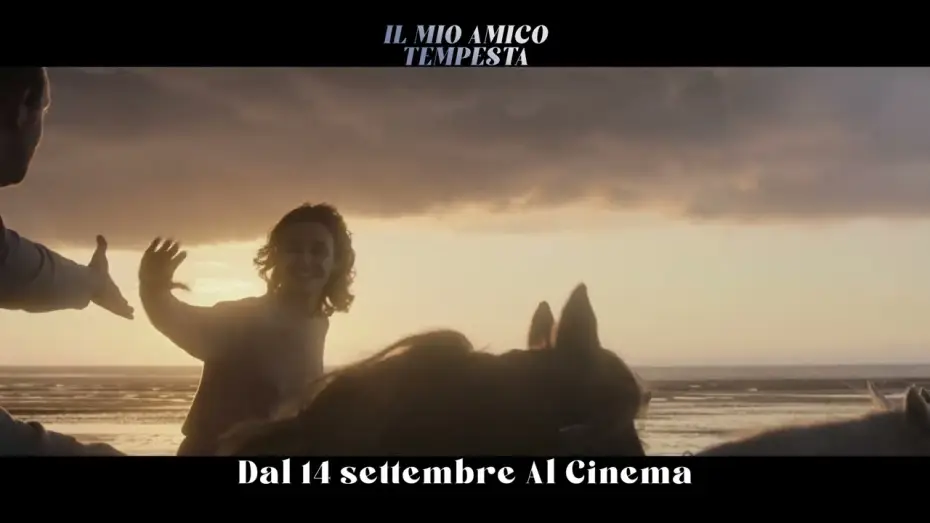 Watch film Ride Above | Il Mio Amico Tempesta I Trailer Ufficiale