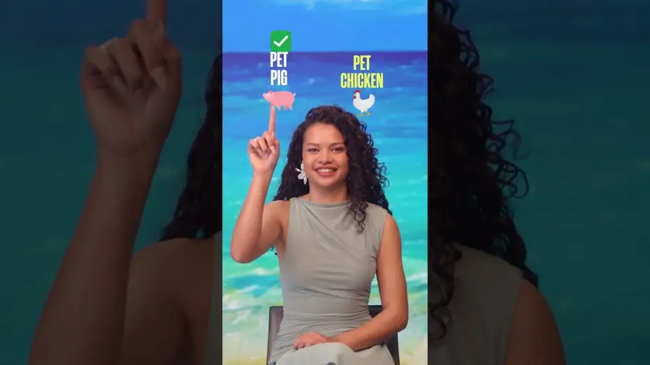 Watch film Moana — pet 🐔 or pet 🐷?