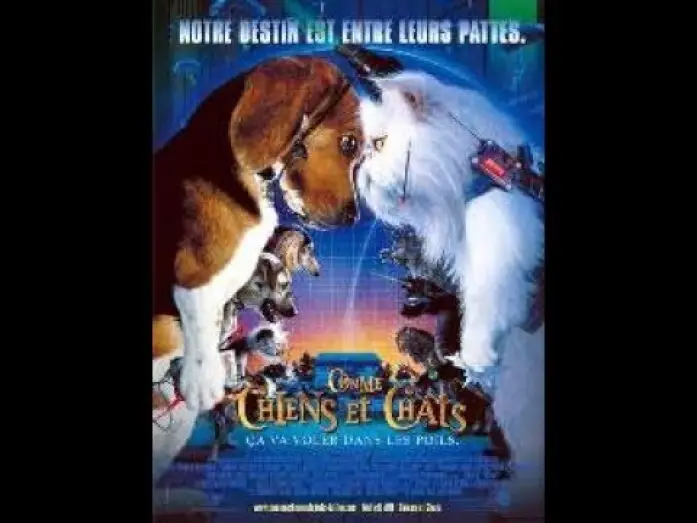 Watch film Cats & Dogs | Comme chiens et chats