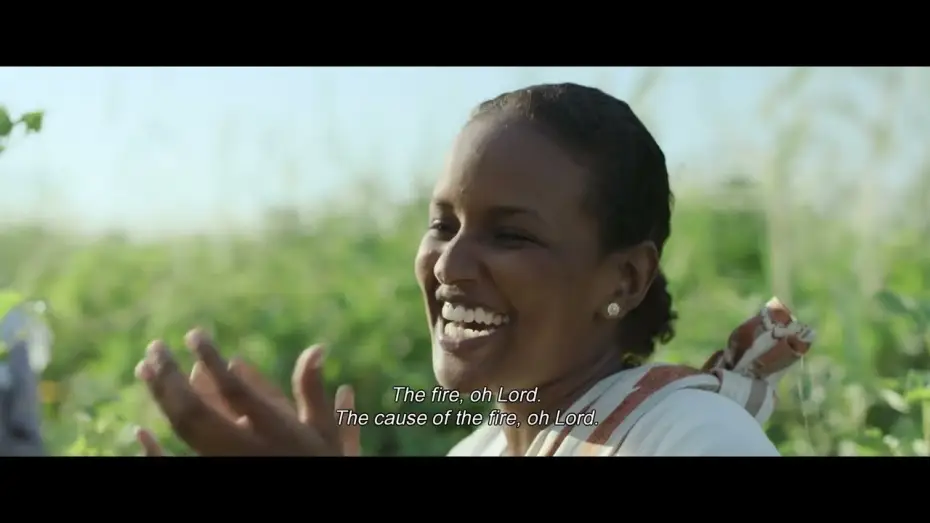 Watch film Cotton Queen | #TIFF66 | Cotton Queen [INTERNATIONAL COMPETITION]