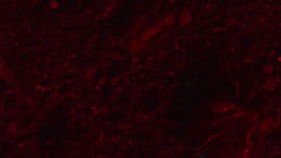 Watch film RESET — RESET Intro Clip