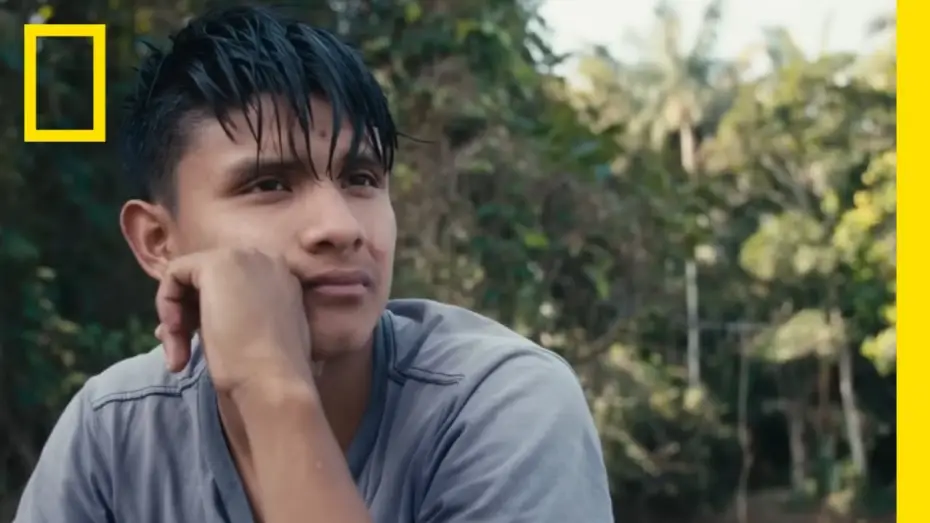 Watch film The Territory — Official Trailer