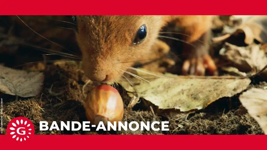 Watch film Heart of an Oak — Le Chêne  (2022) - Bande-annonce