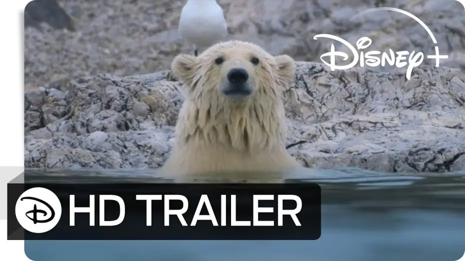 Watch film Polar Bear — Eisbären | Teaser Trailer | Deutsch HD