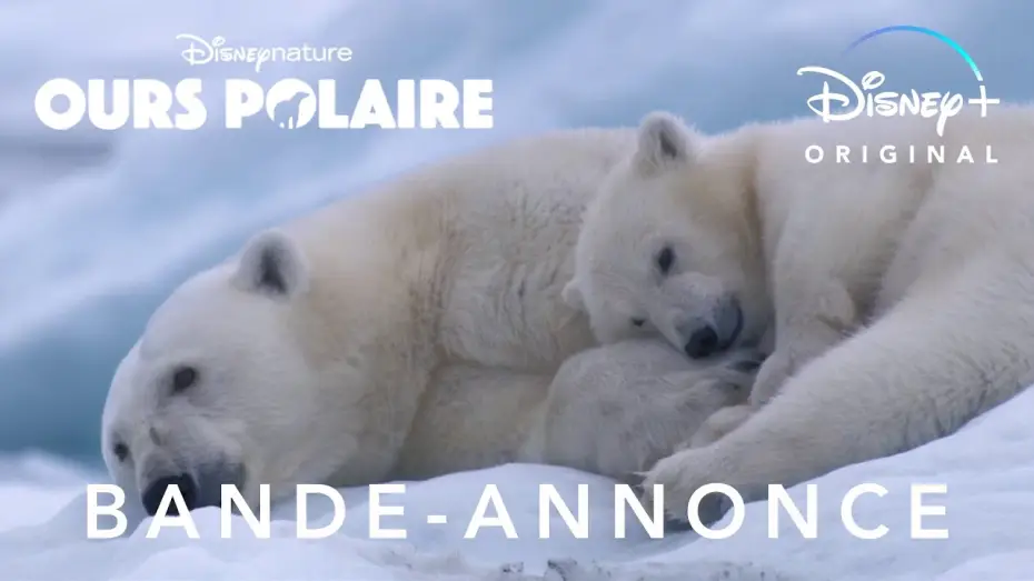 Watch film Polar Bear — Ours polaire - Bande Annonce [VOST]