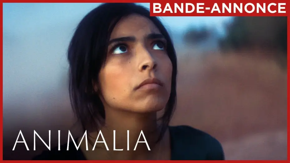 Watch film Animalia — ANIMALIA | Bande-annonce