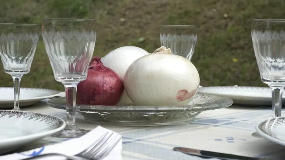Watch film Lullaby of the onion — [TEASER] Tipularen sehaska kanta