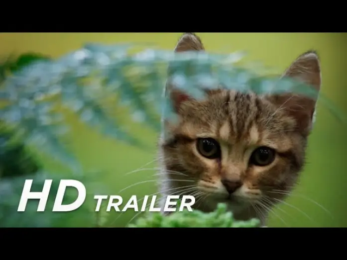 Watch film A Cat's Life — Offizieller Trailer