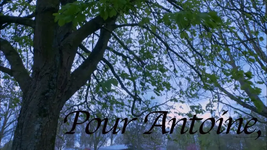 Watch film Pour Antoine, | Pour Antoine,