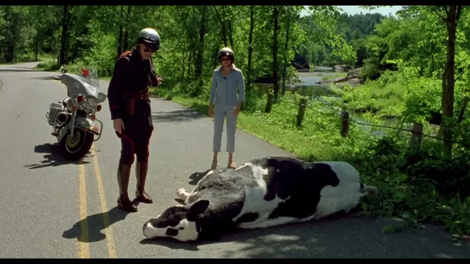 Watch film Me, Myself & Irene | Fous d'Ir&egrave;ne - le passage de la vache :)