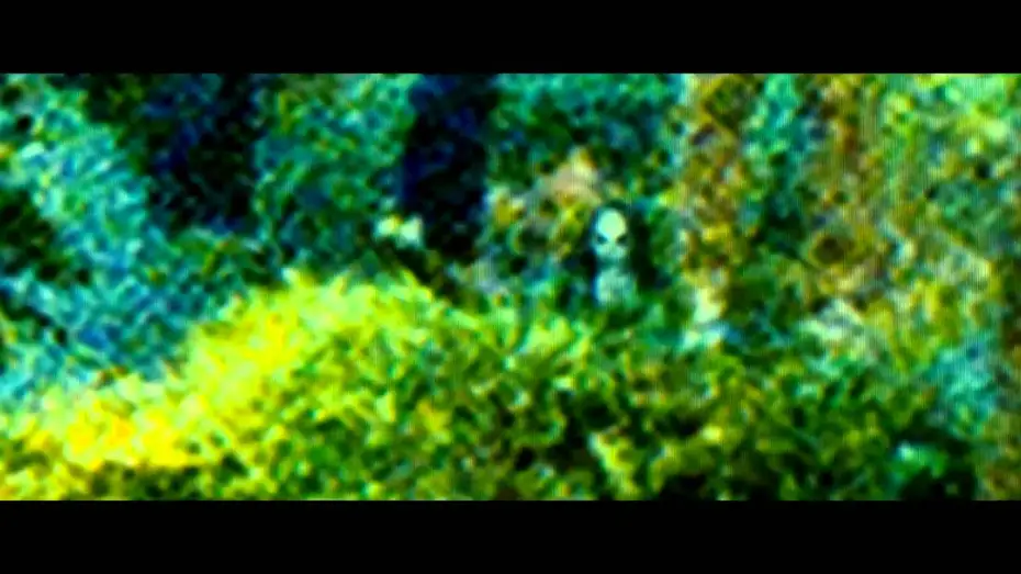Watch film Sinister — Sinister - Trailer en español HD