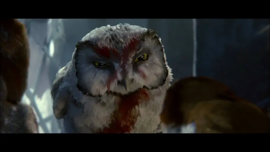 Watch film Legend of the Guardians: The Owls of Ga'Hoole | Legend of the Guardians: The Owls of Ga'Hoole An IMAX 3D Experience Trailer