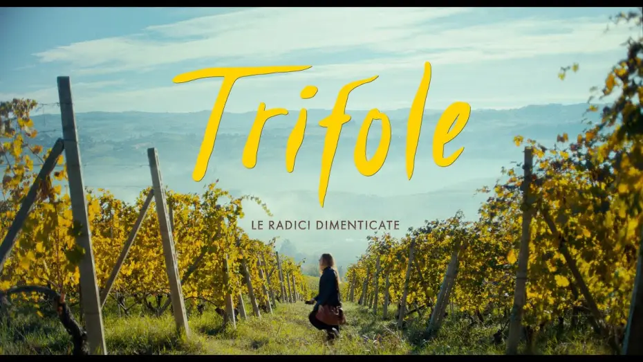 Watch film Trifole | TRIFOLE - Le radici dimenticate - TEASER - dal 17 ottobre al cinema