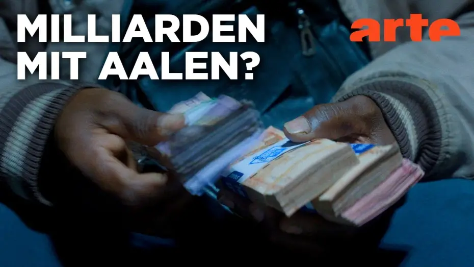 Watch film Billion Dollar Babies - Der Aal und die Gier — Milliarden Dollar Babies - Große Gewinne mit kleinen Aalen | Doku HD | ARTE