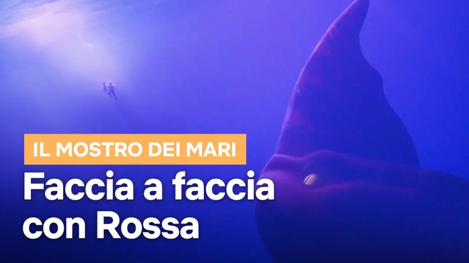 Watch film The Sea Beast | Faccia a faccia con Rossa