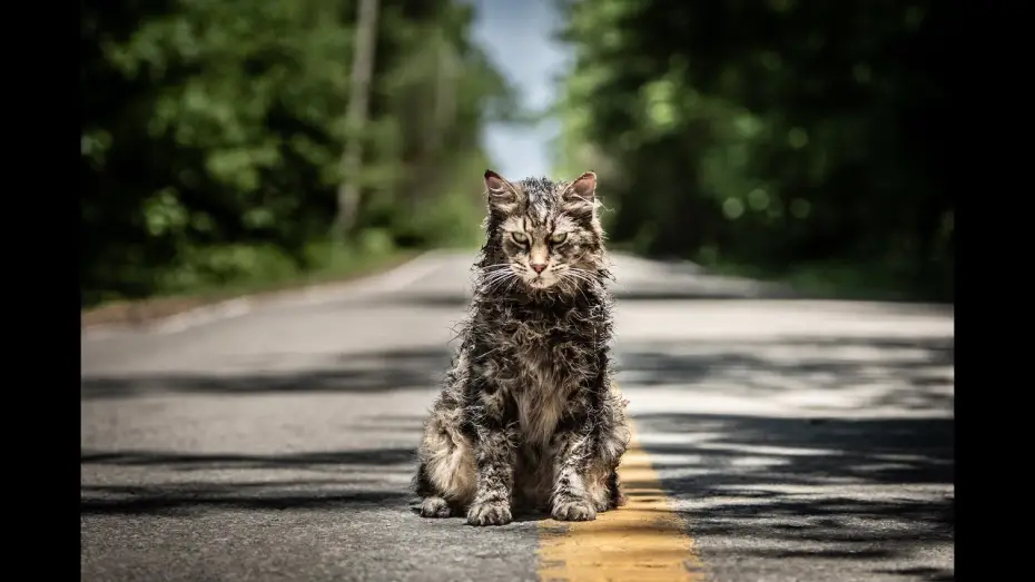 Watch film Pet Sematary | Friedhof der Kuscheltiere - Trailer 1 - Deutsch HD