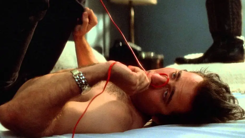 Watch film Wild at Heart — Corazón salvaje - Tráiler(VE)