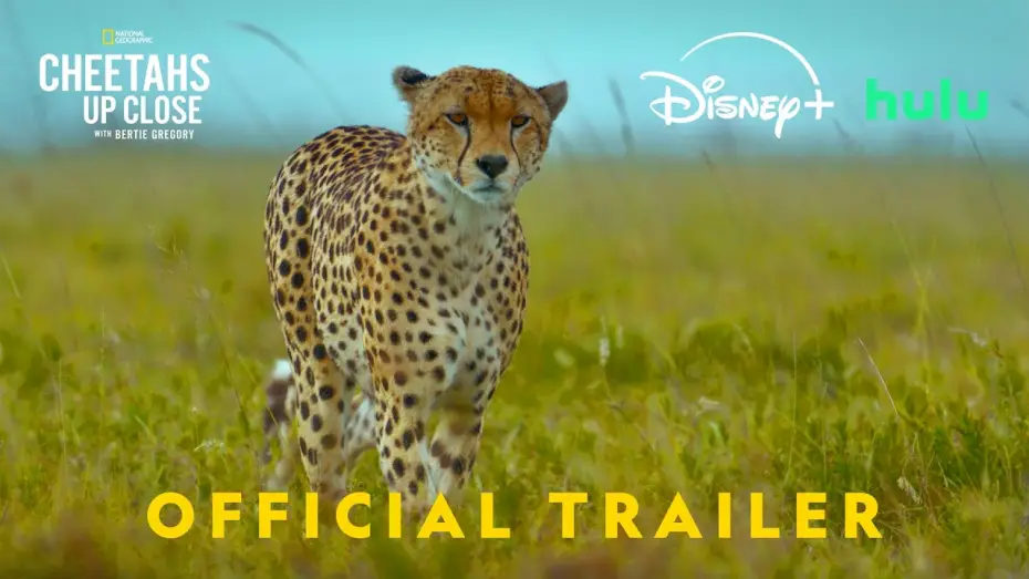 Watch film Cheetahs Up Close with Bertie Gregory | Official Promo