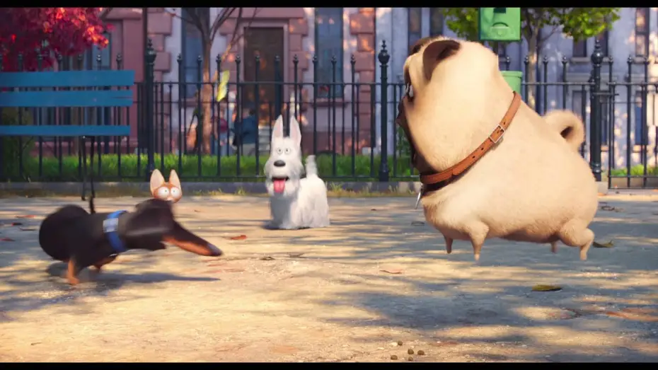Watch film The Secret Life of Pets | PETS &ndash; VITA DA ANIMALI: secondo trailer italiano ufficiale