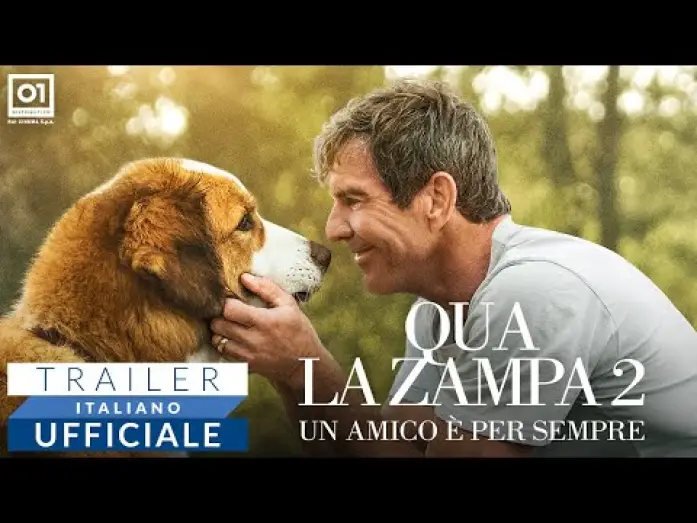 Watch film A Dog's Journey | QUA LA ZAMPA 2 (2020) - Trailer Italiano HD