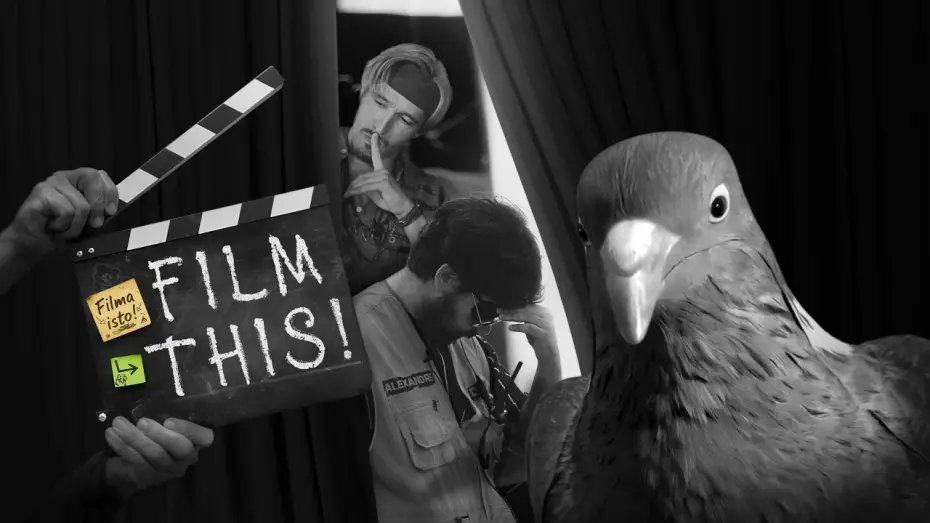 Watch film Film this! | Film This! | 4K Full Movie | Original Title: "Filma isto!"