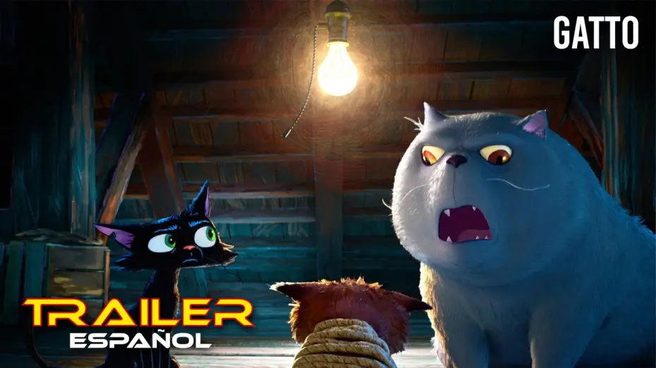 Watch film Gatto — Gatto - Teaser tráiler español