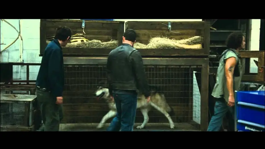Watch film Contraband — Contrebande - Bande annonce (VF)