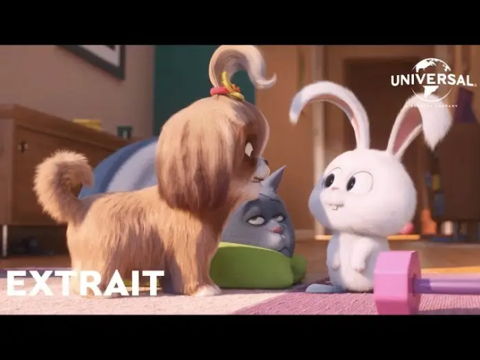 Watch film The Secret Life of Pets 2 | Comme des B&ecirc;tes 2 - Extrait : "Daisy demande de l'aide" VF