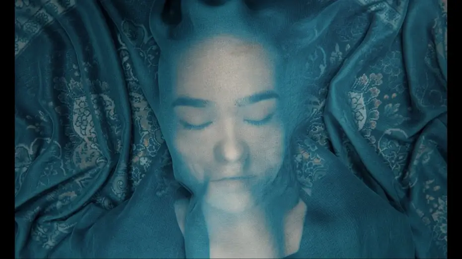 Watch film A Fox Under a Pink Moon | A Fox Under a Pink Moon &bull; Trailer